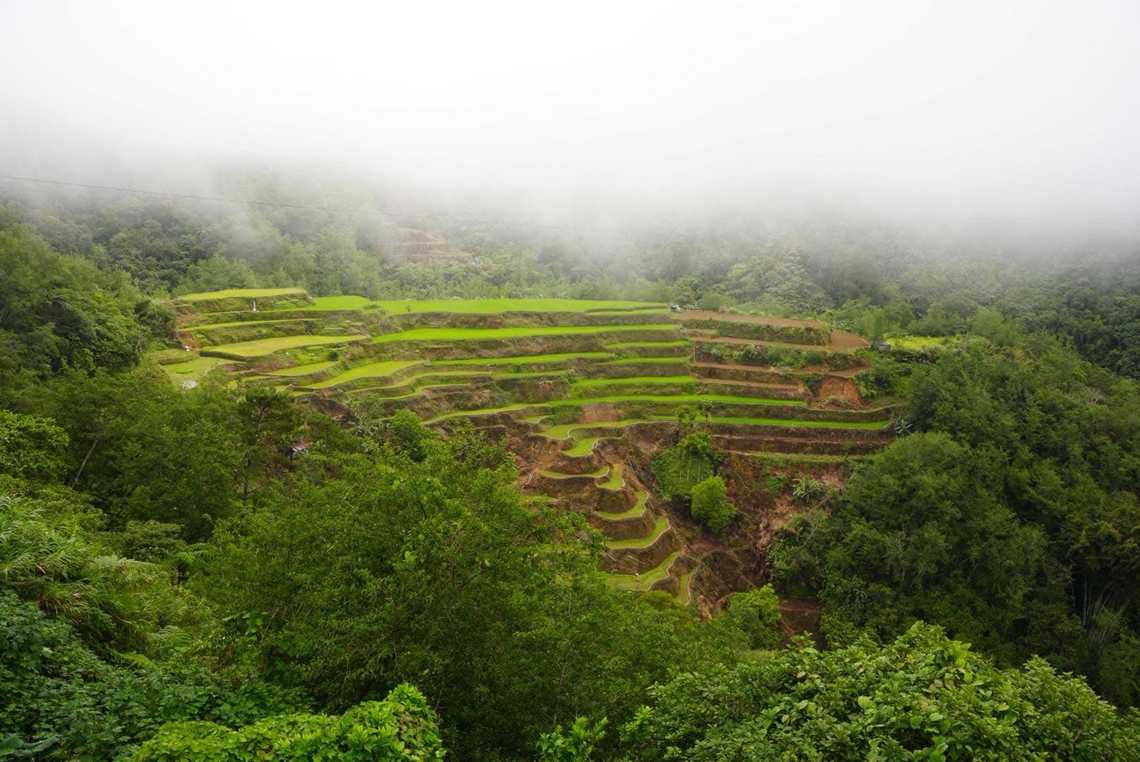 the weather in the morning